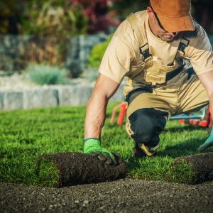 lawn-and-landscaping
