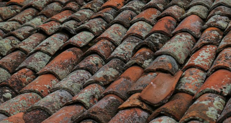 Signs of Shingle Wear and Aging