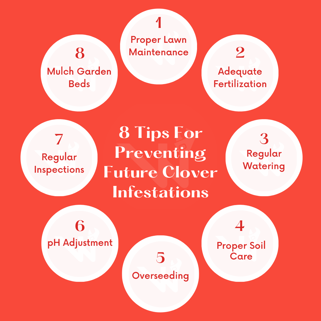 8 Tips For Preventing Future Clover Infestations