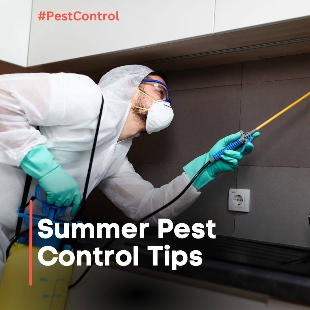 summer pest control tips