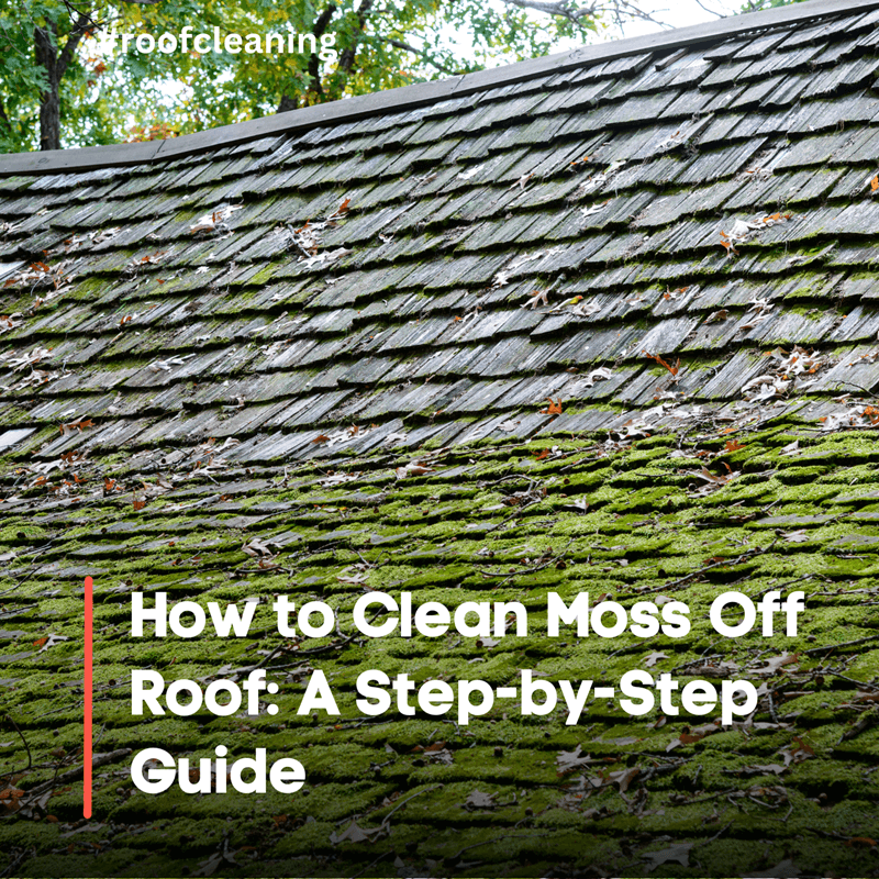 How to Clean Moss Off Roof A Step-by-Step Guide