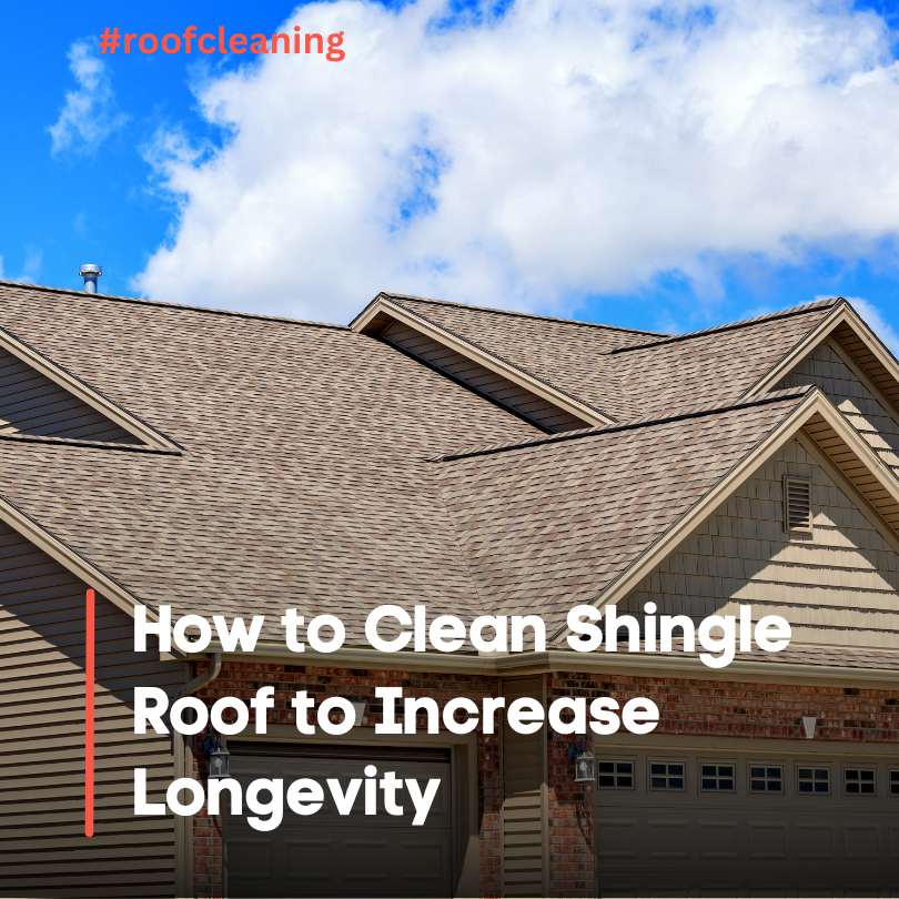 How to Clean Shingle Roof to Increase Longevity