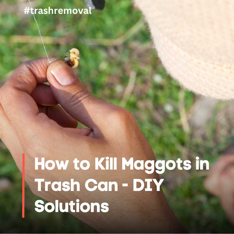 How to Kill Maggots in Trash Can - DIY Solutions