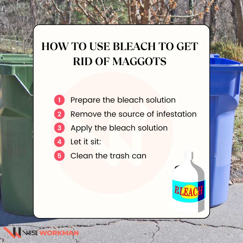 How to Use Bleach to get rid of maggots