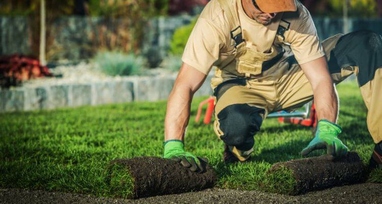 Quality Landscaping
