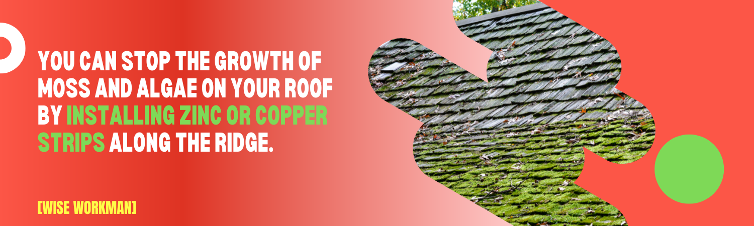 You can stop the growth of moss and algae on your roof by installing zinc or copper strips along the ridge