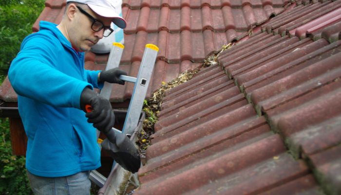 cleaning moss from the roof