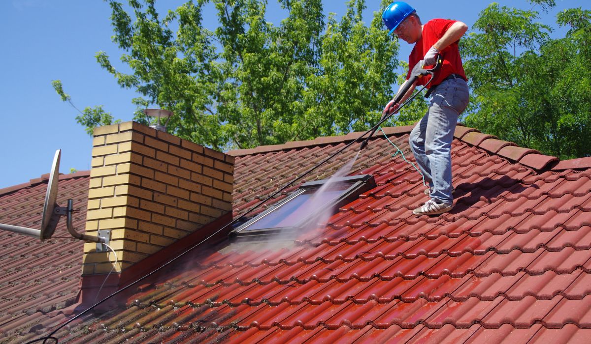 professional roof cleaning