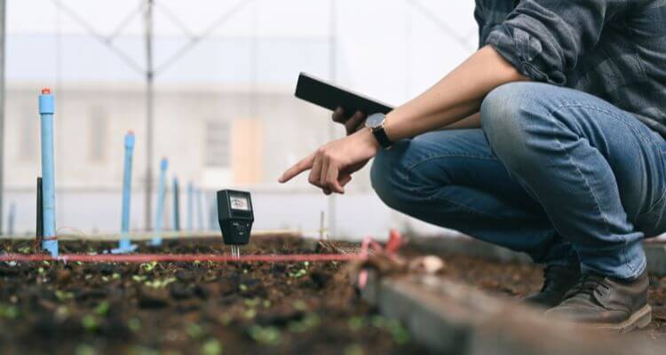 Soil Moisture Monitoring