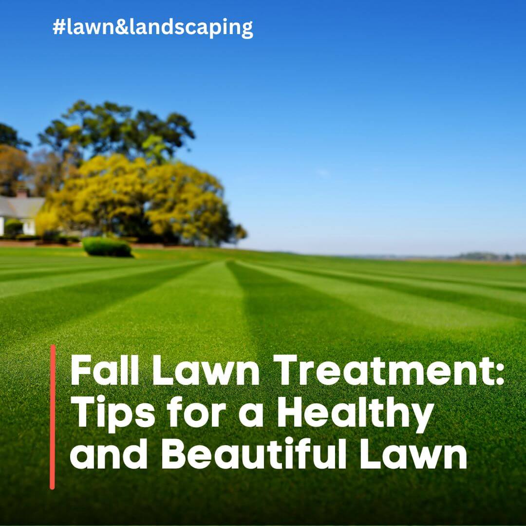 fall lawn treatment